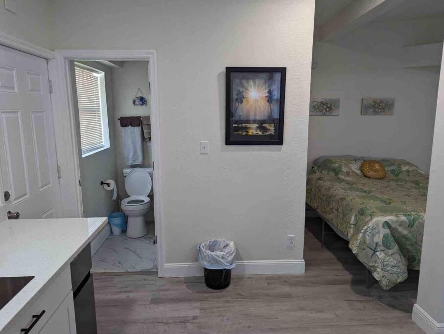 Renovate Large Studio 21-Directly Across Beach St. Pete Beach Dış mekan fotoğraf